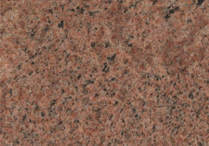 Red Guaimir