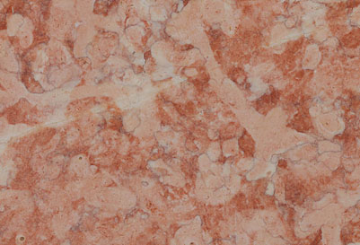 Lioz Coral